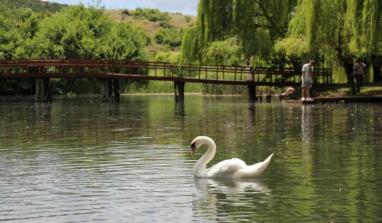 British Hotel Pogradec